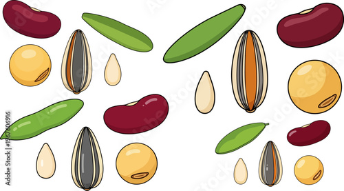 Seeds, beans, and legumes, colorful vector icons, food and nutrition elements, agricultural symbols