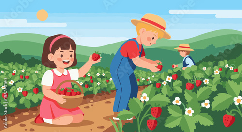 Children picking fresh strawberries in a farm field. Vector illustration of kids harvesting berries on a sunny day