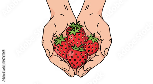 Hand drawn illustration of cupped hands holding fresh ripe strawberries
