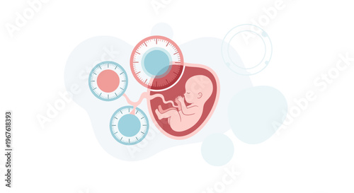 Fetus Development and Medical Monitoring