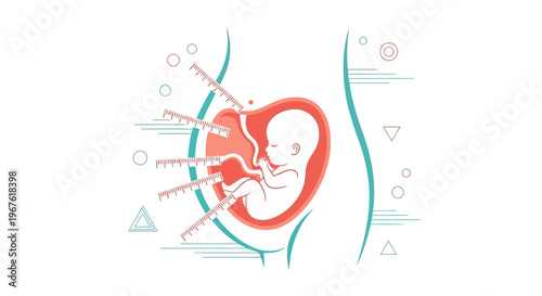 Fetus Development in Womb: Ultrasound Scan and Medical Monitoring
