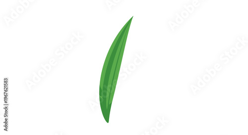 Single green leaf isolated on white.