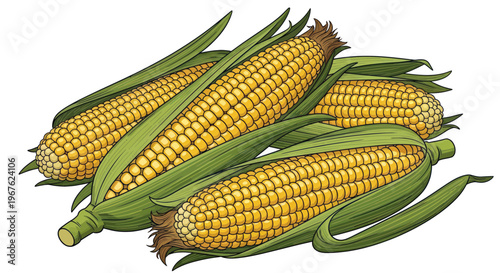 Fresh Corn Cobs with Green Leaves - Healthy Food Ingredient