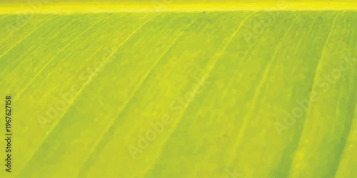 Vibrant green banana leaf texture with natural patterns and detailed veins.