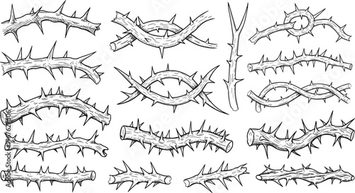 A detailed illustration of various thorny branches and twigs in black and white