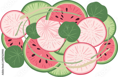 A vibrant illustration of sliced watermelon and radish with green leaves