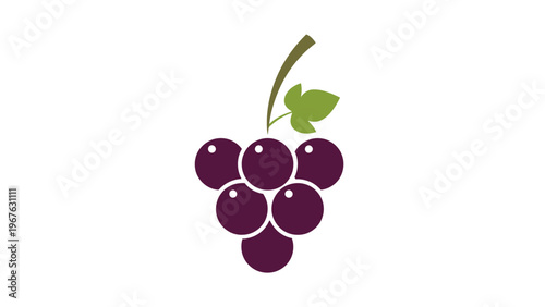 Cluster of purple grapes with leaf.