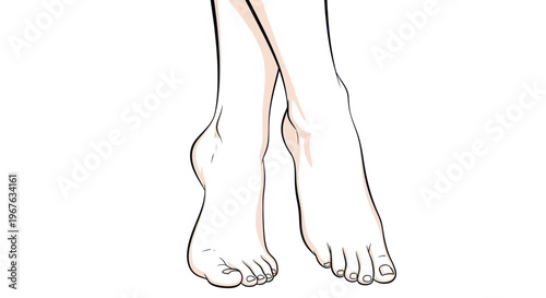 Elegant Female Feet Illustration, Graceful Pose, Isolated on White Background