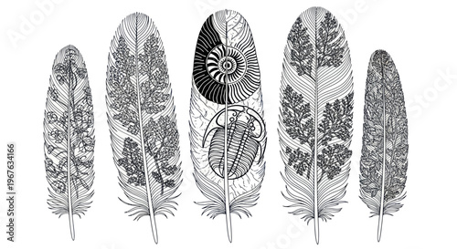 Feathers with fossil imprints - ammonite, trilobite, fern patterns
