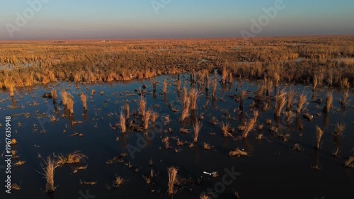 The Al-Jubaysh Marshes, located in Dhi Qar, Iraq, are part of the Mesopotamian marshlands, one of the world's largest wetland ecosystems. Known for their rich biodiversity, these marshes are home to u