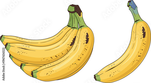 Ripe banana fruit illustration with bunch and single spotted banana realistic vector set