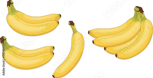 Banana fruit set with single banana and bunches isolated tropical vector illustration collection