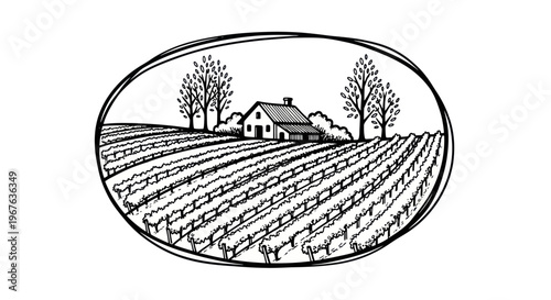 Vineyard landscape with farmhouse and trees sketch.