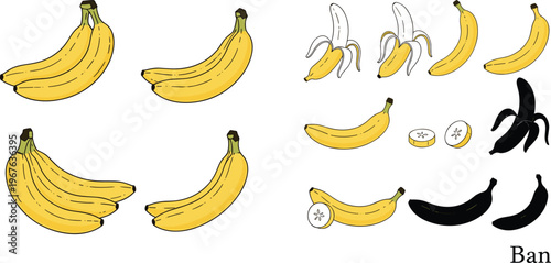 Banana fruit collection with bunches, peeled banana, slices and ripe stages vector illustration set