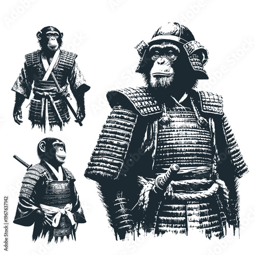 chimpanzee in Japanese ronin warrior costume