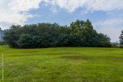 green field and blue sky
