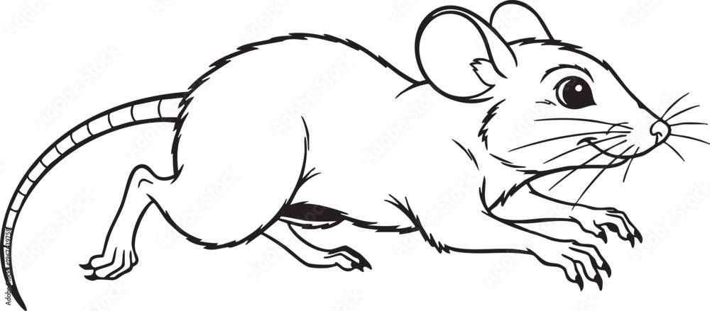 Fototapeta premium A black and white illustration of a mouse with big eyes and ears