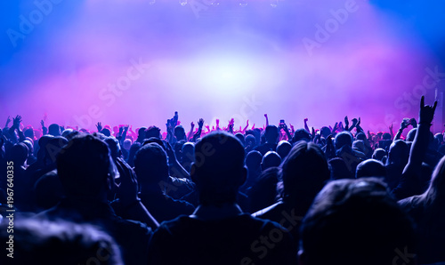 crowd of people dancing at concert