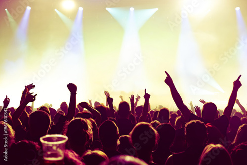 crowd of people dancing at concert