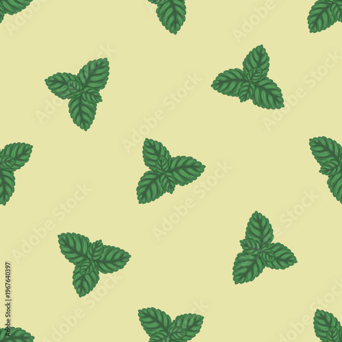Mint leaf seamless pattern vector illustration. Hand drawn green peppermint for tea background. Organic herbal design for garden fabric ornament. Natural plant for kitchen wallpaper and textile.