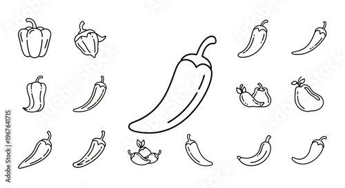 Variety of chili pepper types.