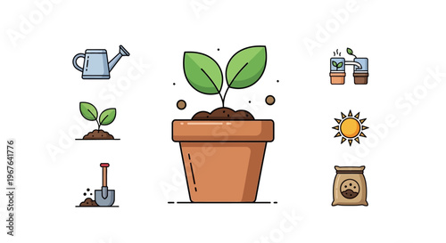 Small green plant in pot.