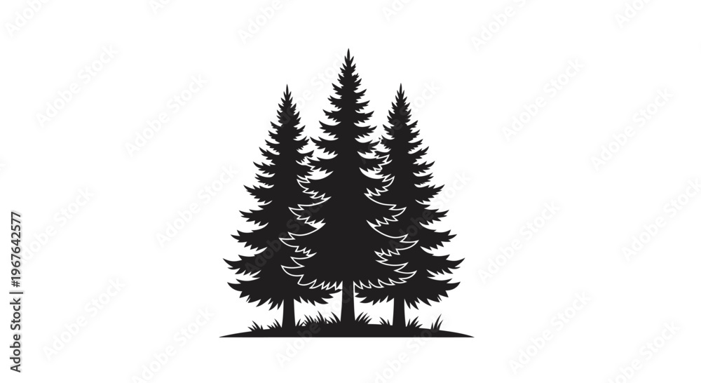 Obraz premium Three tall evergreen pine trees with a small patch of grass at their base, silhouetted against a white background.