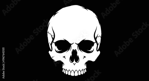 White Human Skull on Black Background.