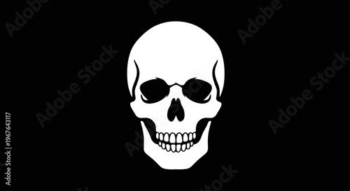 White Human Skull on Black Background.