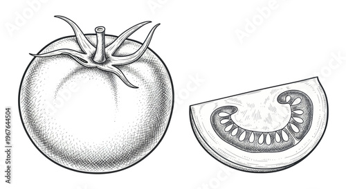 Hand-drawn illustration of a whole tomato and a slice, black and white sketch