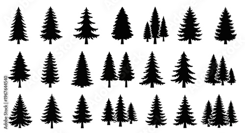 Silhouette Evergreen Trees Collection: Pine, Fir, Spruce Forest Icons