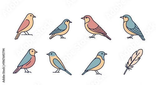 Colorful illustration of small birds standing.