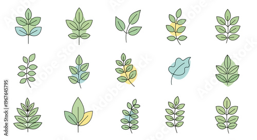 Collection of various green leaf types.