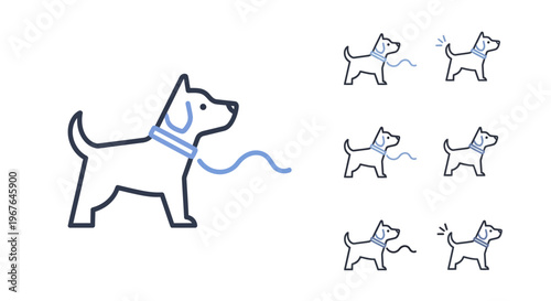 Dog on a leash walking outside.