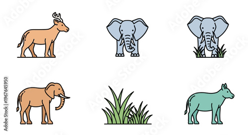 Colorful illustration of various animals.