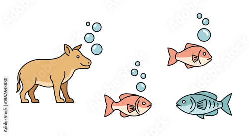 Cow looking at fish swimming.