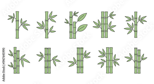 Bamboo stalks with green leaves.