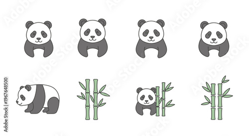 Panda Bears and Bamboo Stems Illustration.