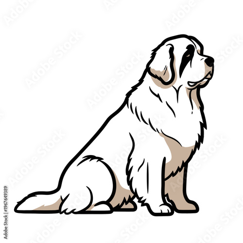 Sitting Saint Bernard dog illustration, isolated on white background.