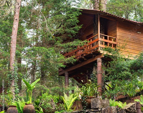 The secret nest: a dream cabin suspended in the treetops