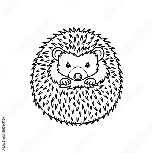 Cute hedgehog illustration in black and white, perfect for coloring pages.