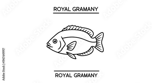 Minimalist black outline illustration of a royal gramma fish, perfect for aquatic themes