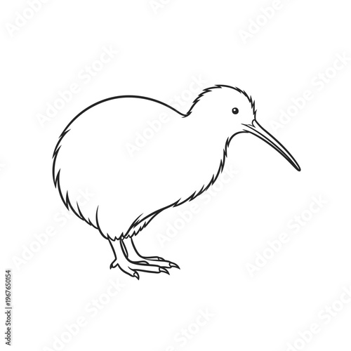 Line drawing of a kiwi bird, a flightless bird native to New Zealand.