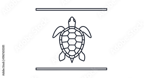 Minimalist line art illustration of an aquatic sea turtle with decorative horizontal border elements