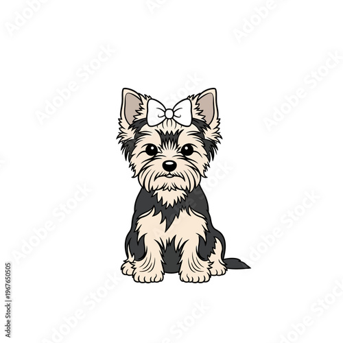 Cute Yorkshire Terrier puppy with a white bow sitting and looking at the viewer.
