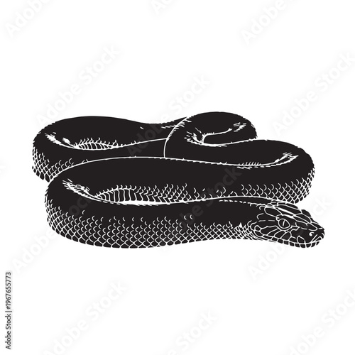 Black Green anaconda  Silhouette Vector, High Quality Illustration on White Background
