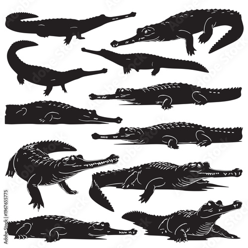 Slika na platnu Black Gharial Silhouette Vector, High Quality Illustration on White Background