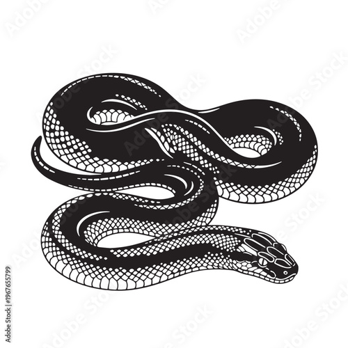 Black Green anaconda  Silhouette Vector, High Quality Illustration on White Background
