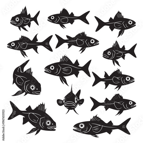 Black Hatchetfish Silhouette Vector, High Quality Illustration on White Background