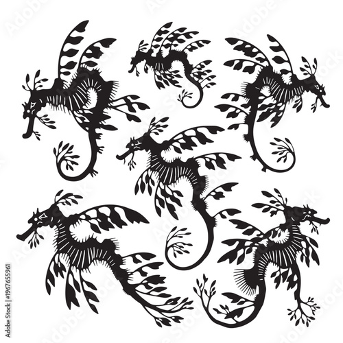 Photos Black Leafy sea dragon  Silhouette Vector, High Quality Illustration on White Ba